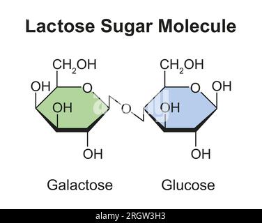 Lactose sugar molecule, illustration Stock Photo