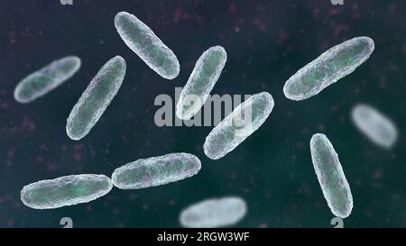 Klebsiella bacteria, illustration Stock Photo