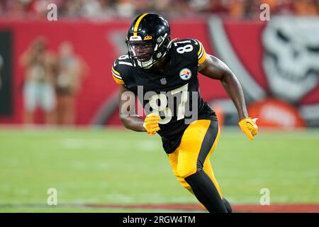 Pittsburgh Steelers tight end Rodney Williams (87) signs autographs for  fans following the NFL football team's training camp workout in Latrobe,  Pa., Friday, July 28, 2023. (AP Photo/Gene J. Puskar Stock Photo - Alamy