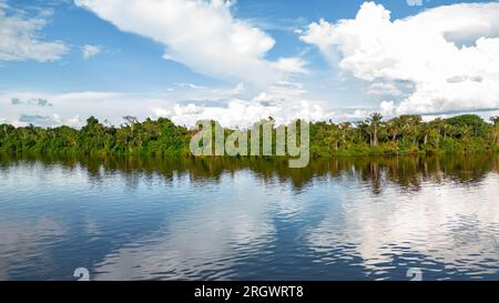 AMAZON RIVERS, SURROUNDED BY DENSE JUNGLE, THE MEANDERS ARE OBSERVED Stock Photo