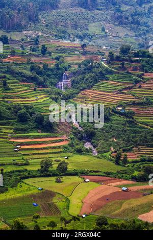 Beautiful Agriculture Farm Field View in Vattavada in Munnar,Idukki District, Kerala, India Stock Photo