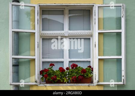 One vintage window with blinds decorated with flowers pots on the facade of an old building. Close-up. Copy space. Selective focus. Stock Photo