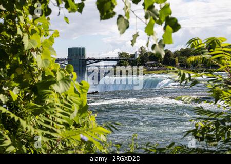 Looking though trees at the American Falls and the scenic overlook in New York at Niagara Falls. Stock Photo