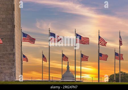 US flags around the Washington Monument with the Capitol in the Background Stock Photo