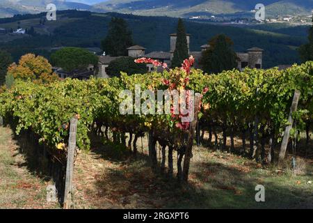 The vineyards near Mercatale in the Chianti Classico begin to color in the autumn season, Tuscany. Italy Stock Photo