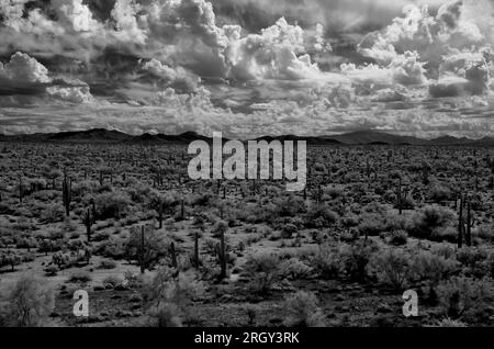 Infrared Sonora desert in central Arizona USA Stock Photo