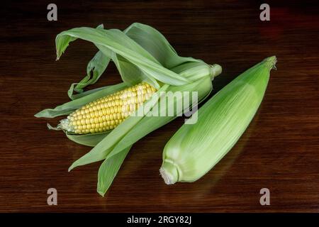 Closeup view of two sweetcorn cobs on a polished wooden table top Stock Photo