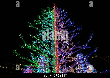 Neon Christmas Trees - Canary Wharf Winter Lights art festival 2019 Stock Photo