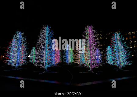 Neon Christmas Trees - Canary Wharf Winter Lights art festival 2019 Stock Photo