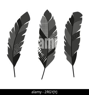 Set of black decorative feathers. Vector illustration. Stock Vector