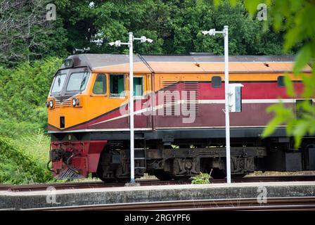 A train of diesel trains entering the platform Freight and passenger trains Stock Photo