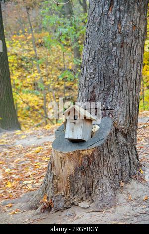 The photo was taken in the autumn park of Kiev. The picture shows a wooden birdhouse mounted on a large stump of a coniferous tree. Stock Photo