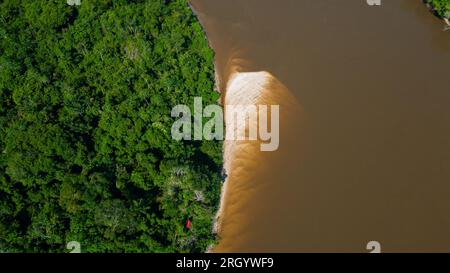The Amazon rivers in the summer season present white sand beaches, Amazonian beaches that are not common in many places, only in the Amazon Stock Photo