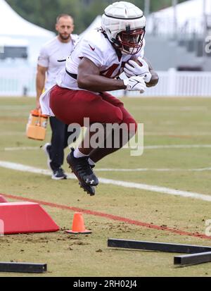 Washington Commanders running back Alex Armah (40) runs during an NFL  preseason football game against the Cincinnati Bengals, Saturday, August  26, 2023 in Landover. (AP Photo/Daniel Kucin Jr Stock Photo - Alamy