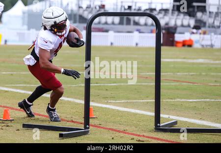 Washington Commanders running back Jonathan Williams (41) runs during an  NFL football game against the Carolina Panthers, Saturday, Aug. 13, 2022 in  Landover. (AP Photo/Daniel Kucin Jr Stock Photo - Alamy