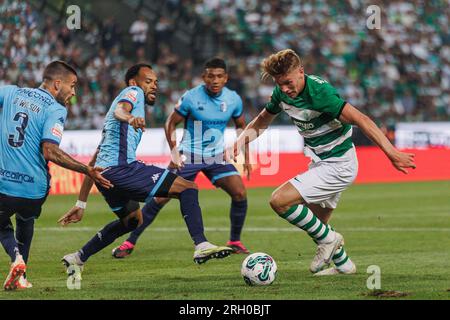 Viktor Gyokeres celebrates after scoring his first goal during Liga  Portugal 23/24 game between Sporting CP and FC Vizela at Estadio Jose  Alvalade Stock Photo - Alamy