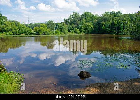 Reflections of clouds, trees, and bushes in the lake at Davidson's Mill Pond Park on a bright sunny day -20 Stock Photo