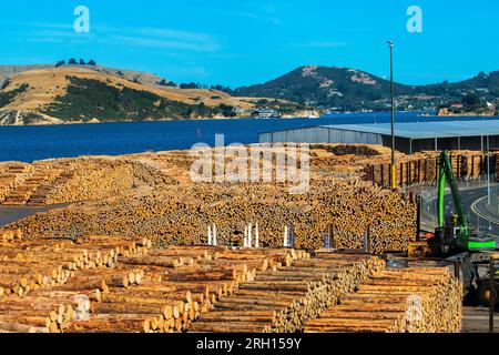 Wood logs being prepared for loading at Port Chalmers, Dunedin, Otago Peninsula, New Zealand Stock Photo