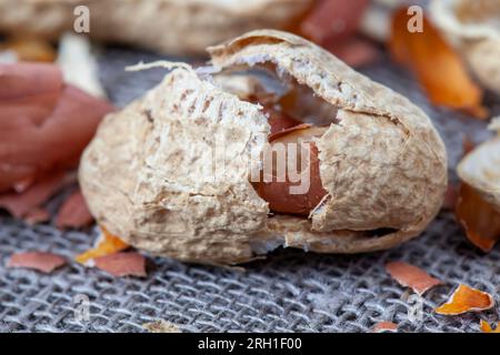 ripe peanuts in the shell, a group of roasted peanuts in the shell without salt Stock Photo