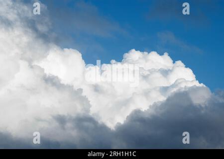 White clouds in the blue sky Stock Photo