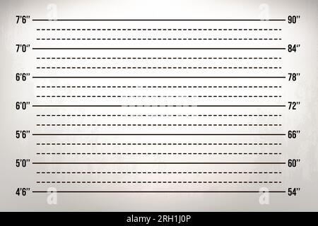 Scale in inches on a gray wall. Ruler for identification by height. Template for a mugshot photo. Stock Vector