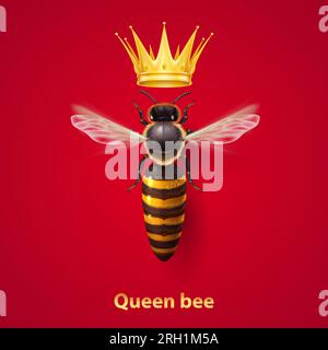 Realistic Bee Queen Mother with Golden Crown. Detailed Illustration of a Queen Bee on Red. Macro Insect, Concept of Food Industry, or Beekeeping Stock Vector
