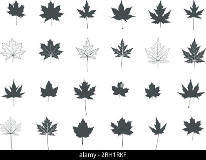 Outline Maple Leaf Icon Flat Vector Stock Vector (Royalty Free) 1643442925