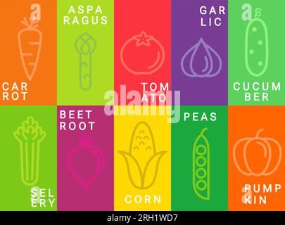 Bright vegetables cards in simple minimal style. Stock Vector