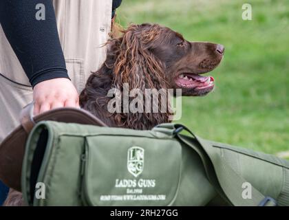 Harboro Rocks Clay Shoot Family Fun Day 2023 Stock Photo