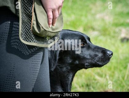 Harboro Rocks Clay Shoot Family Fun Day 2023 Stock Photo