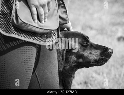 Harboro Rocks Clay Shoot Family Fun Day 2023 Stock Photo