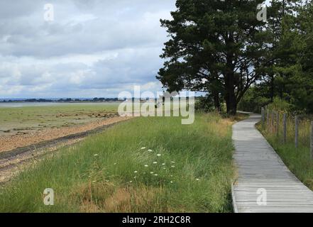 Raised wooden walkway coastal footpath on Pointe de Duer, Sarzeau, Morbihan, Brittany, France Stock Photo