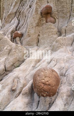 Fascinating formations known as cannonball concretions in Theodore Roosevelt National Park’s North Unit Stock Photo