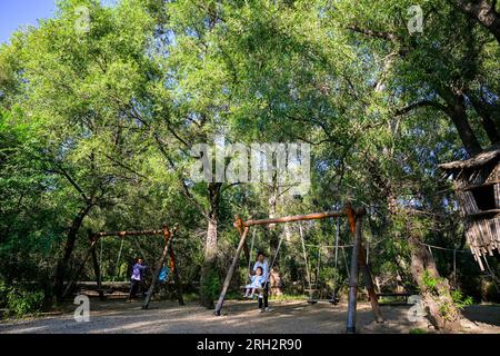 Ulanhot, China's Inner Mongolia Autonomous Region. 13th Aug, 2023. People have fun at the Tao'erhe National Wetland Park in Ulanhot City, north China's Inner Mongolia Autonomous Region, Aug. 13, 2023. Credit: Peng Yuan/Xinhua/Alamy Live News Stock Photo