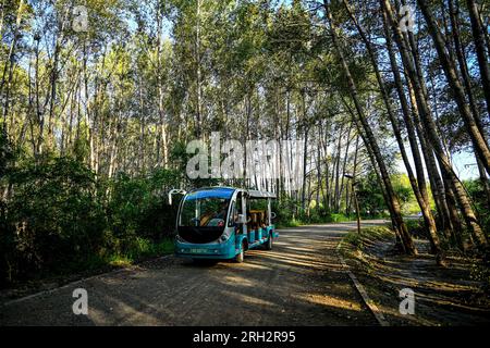 Ulanhot, China's Inner Mongolia Autonomous Region. 13th Aug, 2023. A sightseeing electric vehicle moves at the Tao'erhe National Wetland Park in Ulanhot City, north China's Inner Mongolia Autonomous Region, Aug. 13, 2023. Credit: Peng Yuan/Xinhua/Alamy Live News Stock Photo