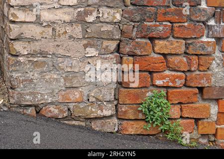 Two different old bricks walls building exterior structure Stock Photo