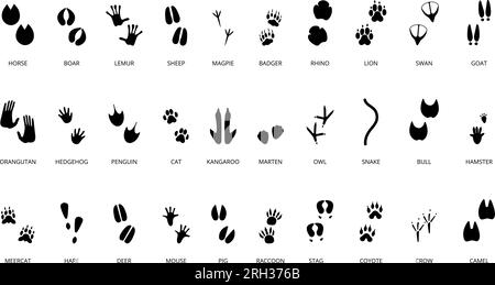 Animals steps black silhouettes. Wild animal, birds and reptile footprints. Paw goat, cat, sheep prints. Footsteps decent vector collection Stock Vector