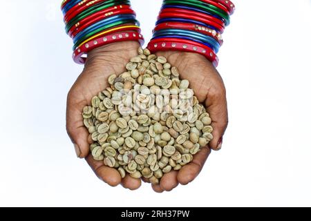 Holding some Green coffee beans in a hand close-up view Stock Photo