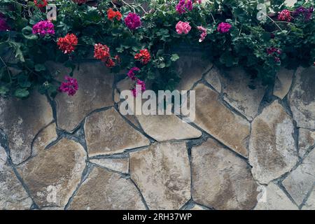 From above, geranium flowers on a stone surface made of large details, with space for copying. Natural stone background with flowers. High quality photo Stock Photo