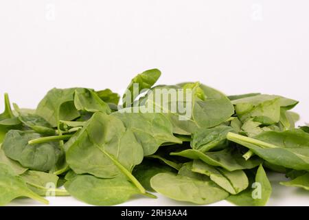 Pile of fresh baby spinach leaves Stock Photo