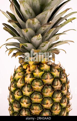Close up pineapple fronds and peeling Stock Photo