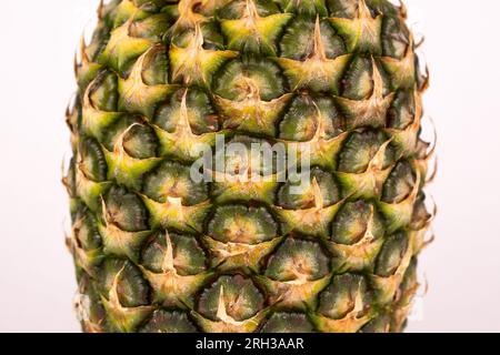 Close up fresh pineapple skin Stock Photo