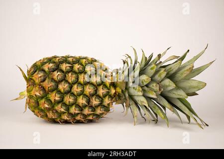 Whole uncut fresh pineapple on side Stock Photo