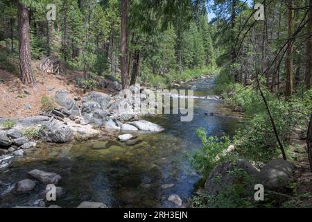 The south fork of the Stanislaus river flows through conifer forest in the Sierra Nevada mountains of California. Stock Photo