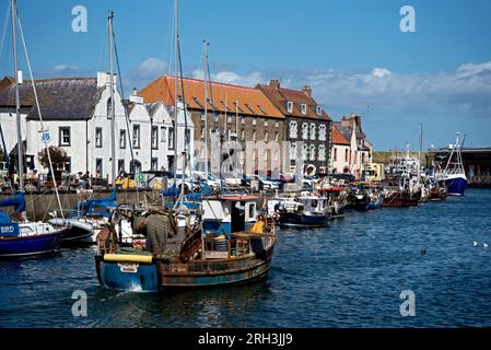 Fishing boat 'Margaret A Amble' leaving Eyemouth Harbour, Berwickshire, Scotland, UK. Stock Photo