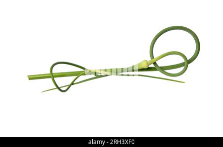 Green stalks of garlic isolated on white background. The twisted stems of plants from seed. Salad for healthy diet Stock Photo