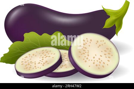Realistic aubergines composition Stock Vector