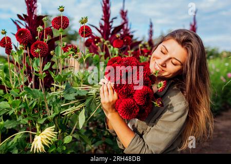 Portrait of smiling gardener holding bouquet of red pompon dahlias in summer garden at sunset. Woman picking flowers. Stock Photo