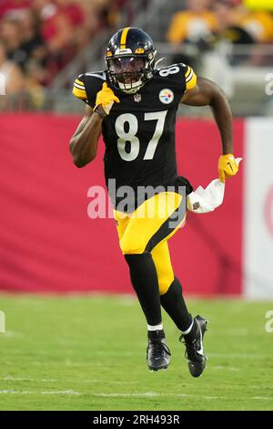 Pittsburgh Steelers tight end Rodney Williams (87) signs autographs for  fans following the NFL football team's training camp workout in Latrobe,  Pa., Friday, July 28, 2023. (AP Photo/Gene J. Puskar Stock Photo - Alamy