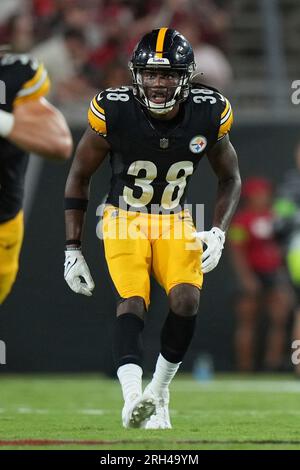 Pittsburgh Steelers wide receiver Gunner Olszewski (89) catches a pass in  front of cornerback Madre Harper (38)) during an NFL football team's  training camp workout in Latrobe, Pa., Tuesday, Aug. 1, 2023. (